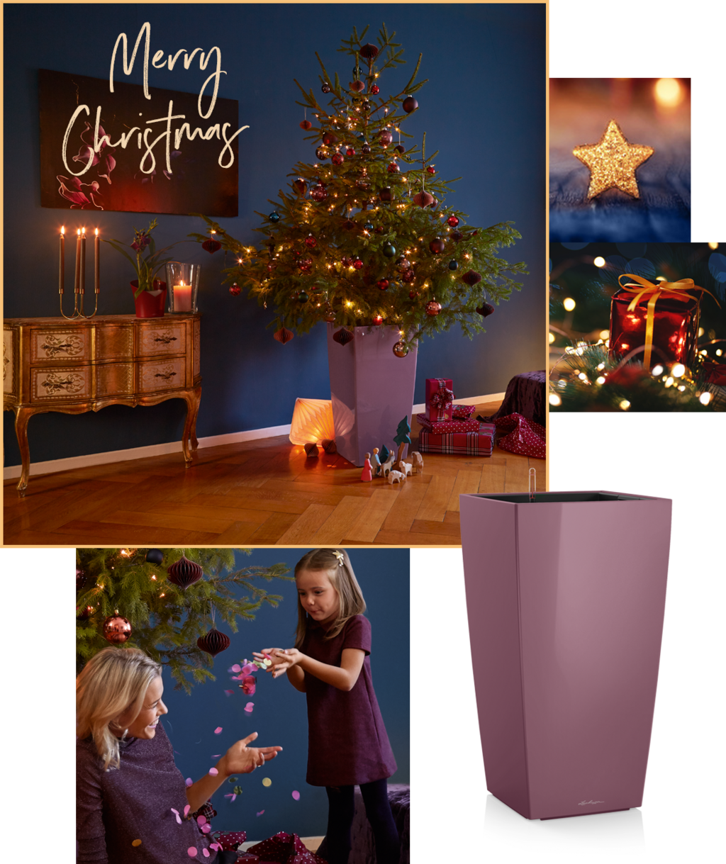 le_tw-wintertime_magic_plum_chic_s