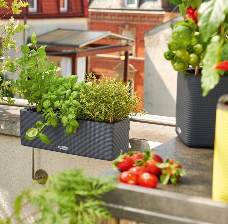 le_tw-urban-gardening_balconissima_gr