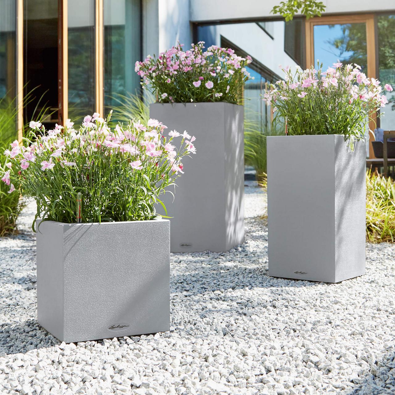 le_tw-urban-gardening_canto_color_stgr